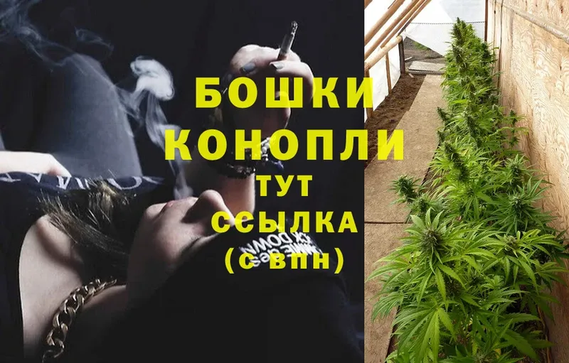 blacksprut зеркало  Беломорск  Шишки марихуана White Widow 